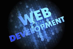 數(shù)字時代的黃金賽道 為何計算機軟件開發(fā)仍是“最有前途”的專業(yè)之選？